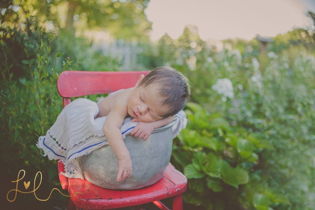 LLP_0967